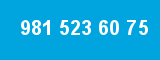981 523 60 75